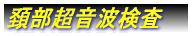 学会発表
